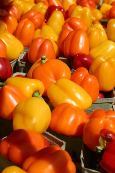 Mixed sweet peppers.