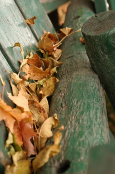 Leaves accumulating on a green bench.