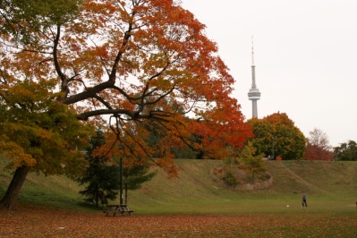 Toronto in the Autumn.