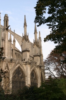 Notre Dam Cathedral hiding behind trees.