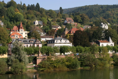 Houses by the river in Heidelberg